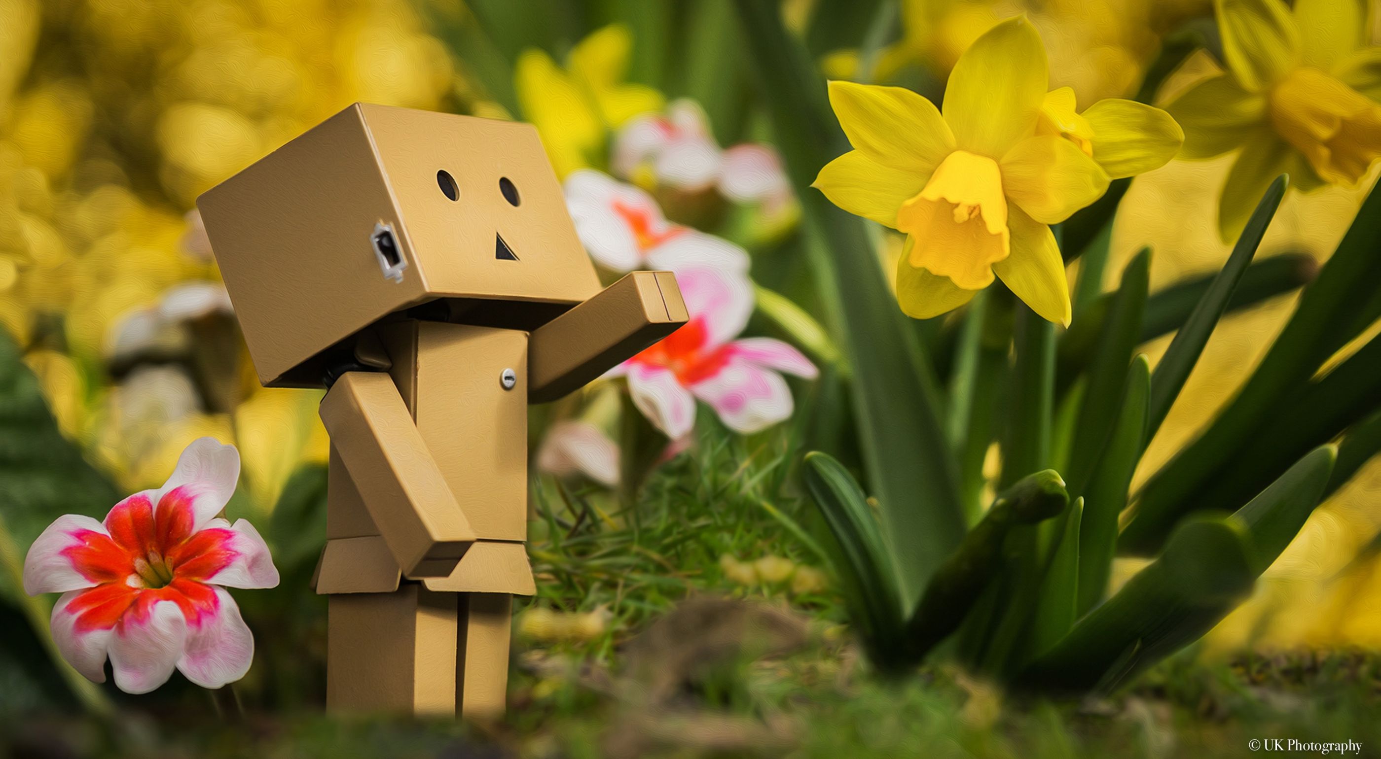 Danbo freut sich auf den Frühling